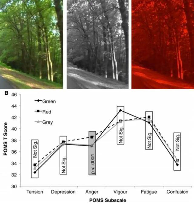 皇冠信用網怎么开通_年代剧的墙皇冠信用網怎么开通，为什么都是上白下绿？